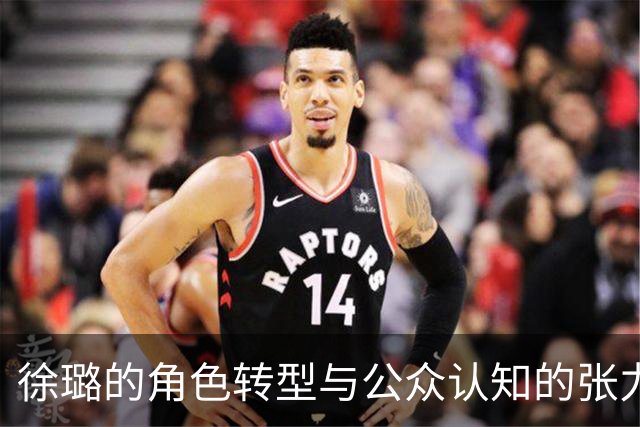 徐璐的角色转型与公众认知的张力分析